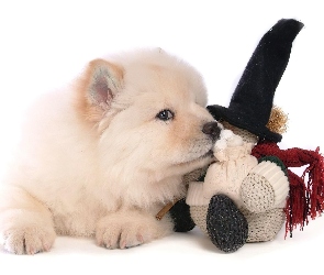 Przytulanka, Chow chow, Piesek