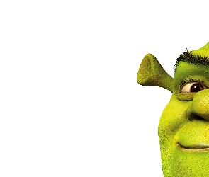 Shrek 1, ogr