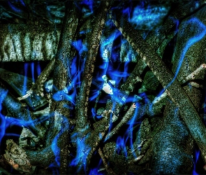 Drzewa, Fantasy, Gałęzie