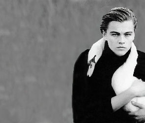 ptak, Leonardo DiCaprio