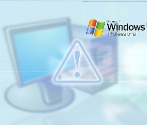 Windows XP, Professional