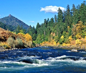 Rzeka, Siskiyou