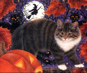 Halloween, Kocur