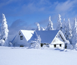 Zima, Dom, Śnieg