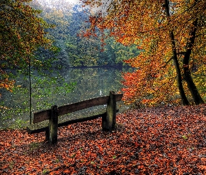 Staw, Las, Jesień, Ławeczka