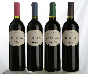 Wino, Dorigo