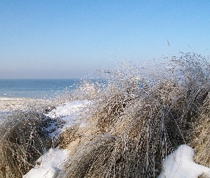 Gdańsk, Zima, Morskie, Wydmy