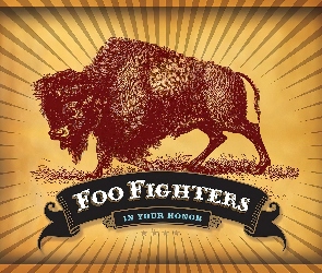 Foo Fighters, baran