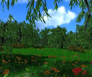 Zielone, Park, Trawa, Drzewa, Lato