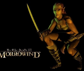 The Elder Scrolls III: Morrowind, Elf