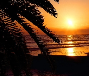 Plaża, Zachód Słońca, Morze, Palmy