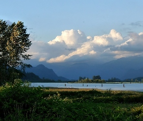 Pitt River, Rzeka