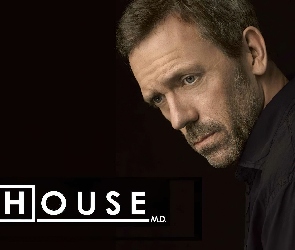 Hugh Laurie, Dr. House