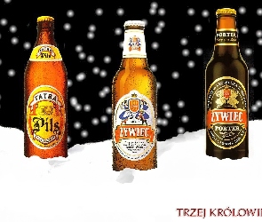 Piwo Żywiec, butelki, Piwo