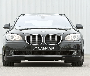Hamann, Tuning, BMW seria 7 F01, Przód
