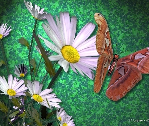 Kwiaty, 3D, Motyl