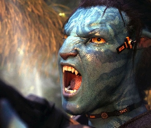 Avatar, Buzia