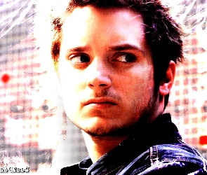 Elijah Wood, broda, twarz