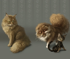 Koty, Grafika, Trzy