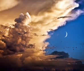 Chmury, Ptaki, Księżyc