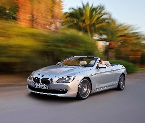 BMW F 13, Kabriolet