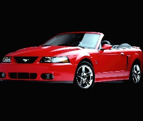 Czerwony, Cabrio, Ford Mustang