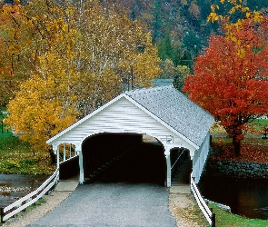 Jesień, Most