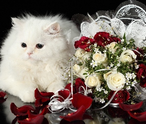 Kot. Wiązanka, Róż, Biały