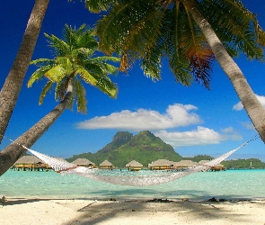 Hamak, Bora Bora, Palmy