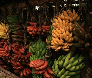 Kiście, Bananów