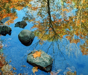 Kamienie, Liście, Jezioro