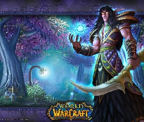 mężczyzna, fantasy, wojownik, elf, World Of Warcraft