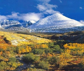 Chmurki, Krzewy, Góry