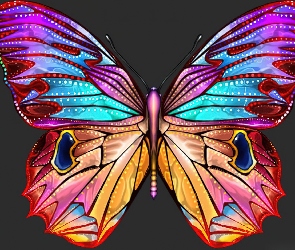 Duży, Motyl, Kolorowy