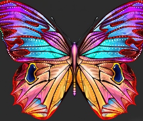 Kolorowy, Motyl, Duży