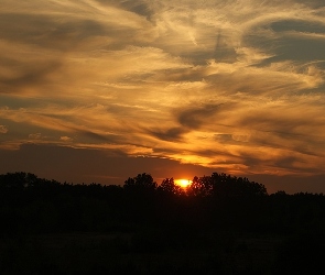 Zachodzące, Lasem, Nad, Słońce