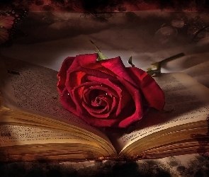 Otwarta, Książka, Róża