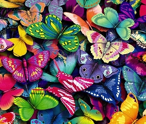 Motyle, Kolorowe