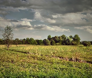 Chmury, Łąka, Ciemne