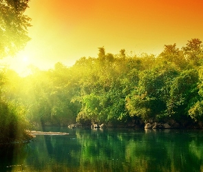 Jezioro, Drzewa, Słońce