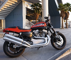 Pas, Napędowy, Harley Davidson XR1200