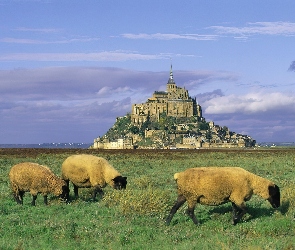 Zamek, San Michel, Francja