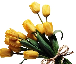 Żółtych, Tulipanów, Wiązanka
