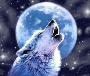 Wilk, Księżyc, Wyjący