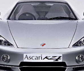 Ascari KZ1, Logo, Maska