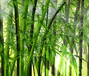 Kwitnący, Bambus