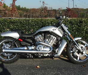 Motocykl, Harley Davidson V-Rod Muscle, Srebrny