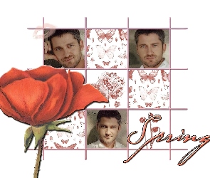 mak, motyl, Gerard Butler, spring