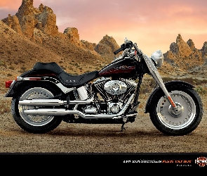 Reklama, Harley Davidson Fat Boy