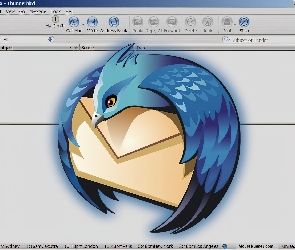 ptak, grafika, Thunderbird, koperta